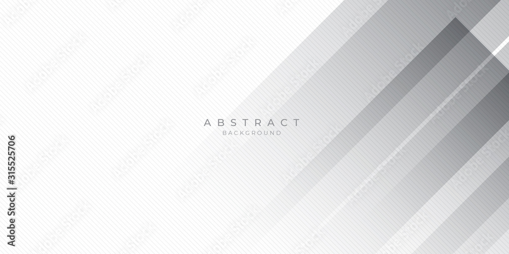 White Grey Silver Box Rectangle Abstract Background Vector Presentation Design White Grey Silver Box Rectangle Abstract Background Vector Presentation Design