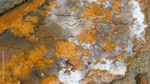 Bacterial scum on the surface of a pond in Ecuador. The rusty colour indicate iron bacteria which derive their energy by oxidising dissolved ferrous iron to insoluble ferric oxide is insoluble.