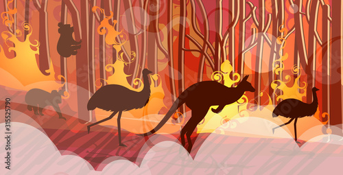 australian animals silhouettes running from forest fires in australia wildfire bushfire burning trees natural disaster concept intense orange flames horizontal vector illustration