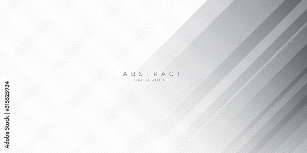 White Grey Silver Box Rectangle Abstract Background Vector Presentation Design White Grey Silver Box Rectangle Abstract Background Vector Presentation Design