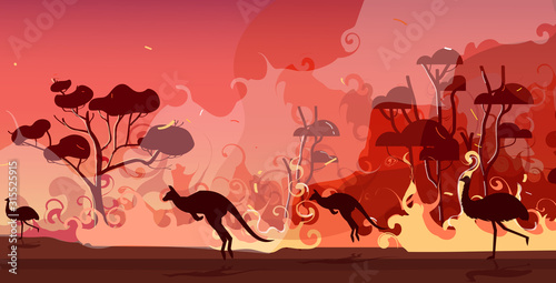 australian animals silhouettes running from forest fires in australia wildfire bushfire burning trees natural disaster concept intense orange flames horizontal vector illustration