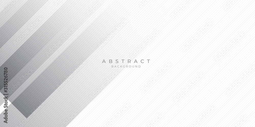 Obraz premium White Grey Silver Box Rectangle Abstract Background Vector Presentation Design