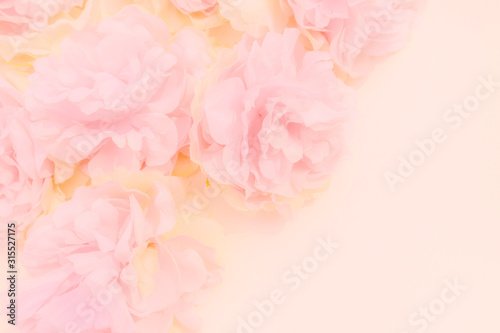 Beautiful abstract color orange purple and pink flowers on white background and white flower frame and pink leaves texture  light pink background  colorful banner happy valentine.