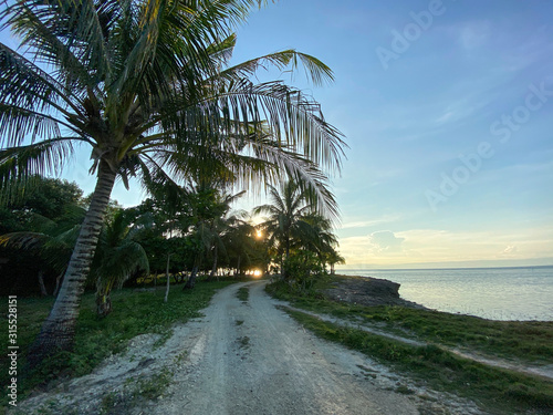 Landscape of a road stretching into a palm forest. Beautiful sunset, sunrise. Calm sea background the blue sky.