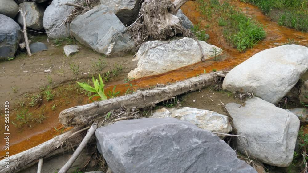 Iron Bacteria Growing In A Stream These Microorganisms Derive Their Energy By Oxidizing