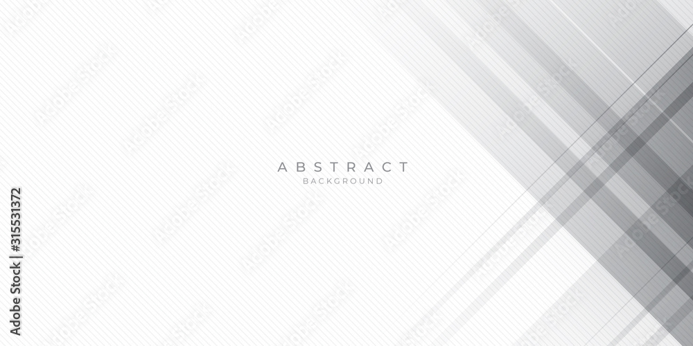 White Grey Silver Box Rectangle Abstract Background Vector Presentation Design White Grey Silver Box Rectangle Abstract Background Vector Presentation Design