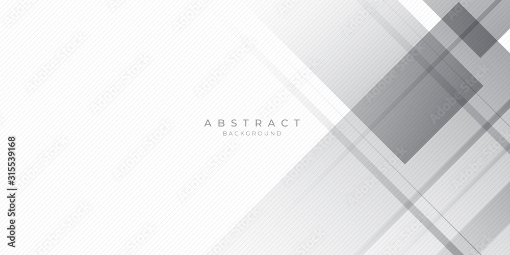 White Grey Silver Box Rectangle Abstract Background Vector Presentation Design White Grey Silver Box Rectangle Abstract Background Vector Presentation Design