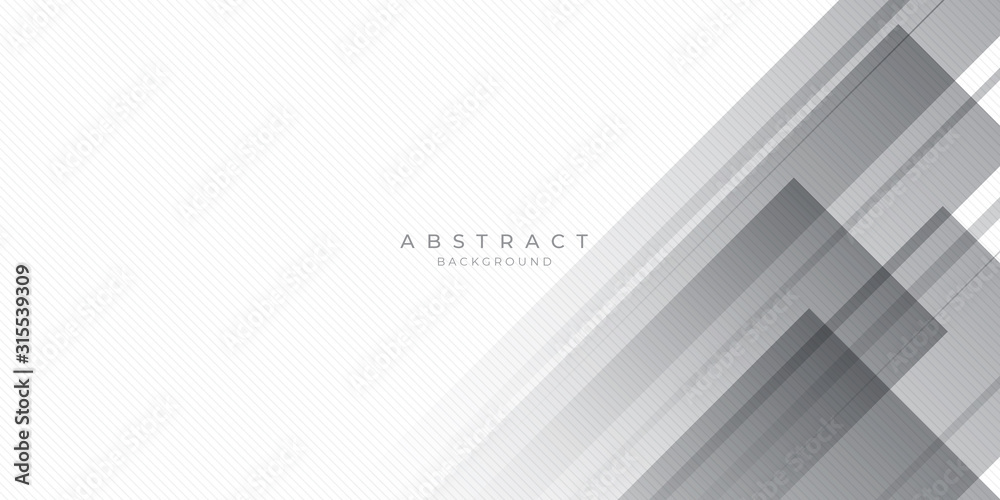 White Grey Silver Box Rectangle Abstract Background Vector Presentation Design White Grey Silver Box Rectangle Abstract Background Vector Presentation Design