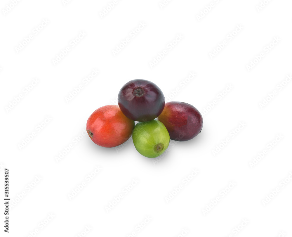 fresh coffee beans isolated on white background fresh coffee beans isolated on white background