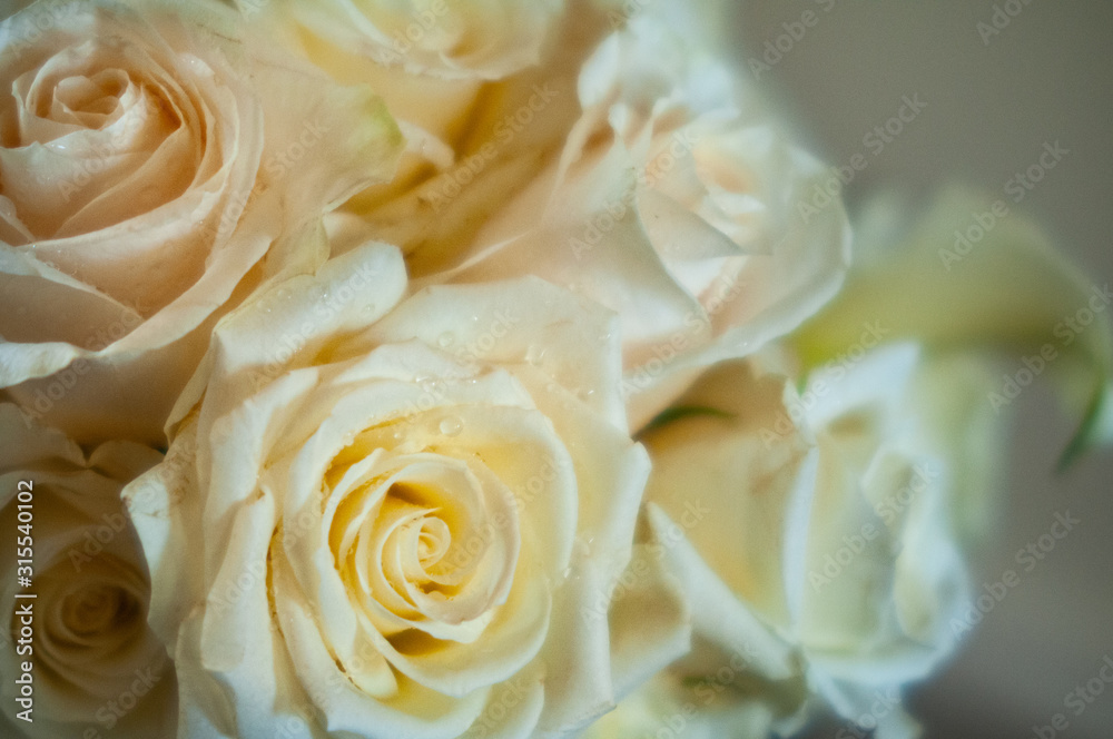 White Rose Bouquet White Rose Bouquet