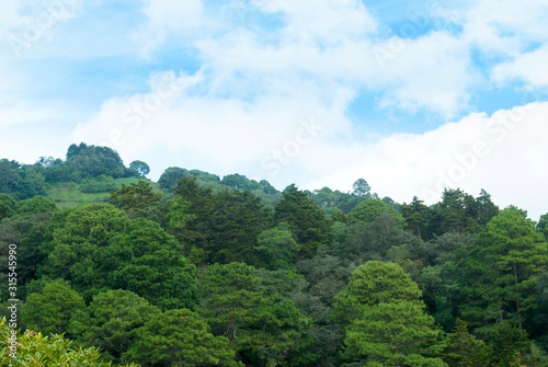  Panoramic view of mountains, forest area in Guatemala, sunny day and clear sky, source of oxygen and photosynthesis in action. © Byron Ortiz