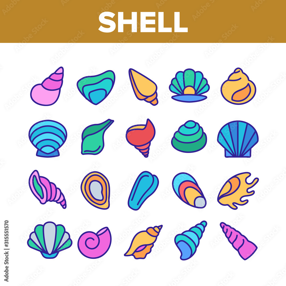 Shell And Marine Conch Collection Icons Set Vector Thin Line. Nature Ocean Shell For Shellfish, Aquatic Decorative Seashell And Cockleshell Concept Linear Pictograms. Color Contour Illustrations