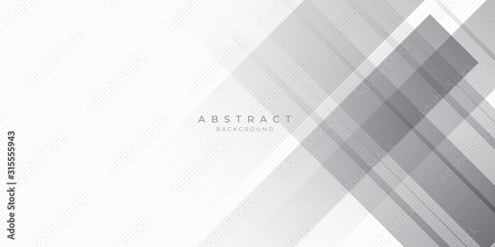 Fototapeta premium White Grey Silver Box Rectangle Abstract Background Vector Presentation Design
