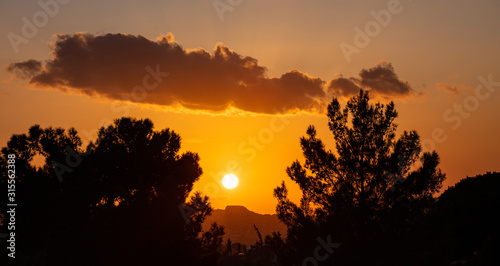Fototapeta Naklejka Na Ścianę i Meble -  Sunrise, sunset through tree silhouette. Sunbeams paints with yellow and orange color the sky