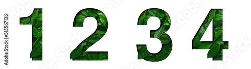 Font leafs 1,2,3,4 made of Real alive leafs with Precious paper cut shape. Leafs font collection set.