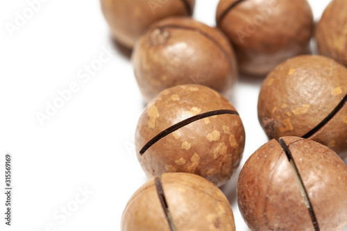 Bunch brown spotty shelled macadamia with macro view isolated white background