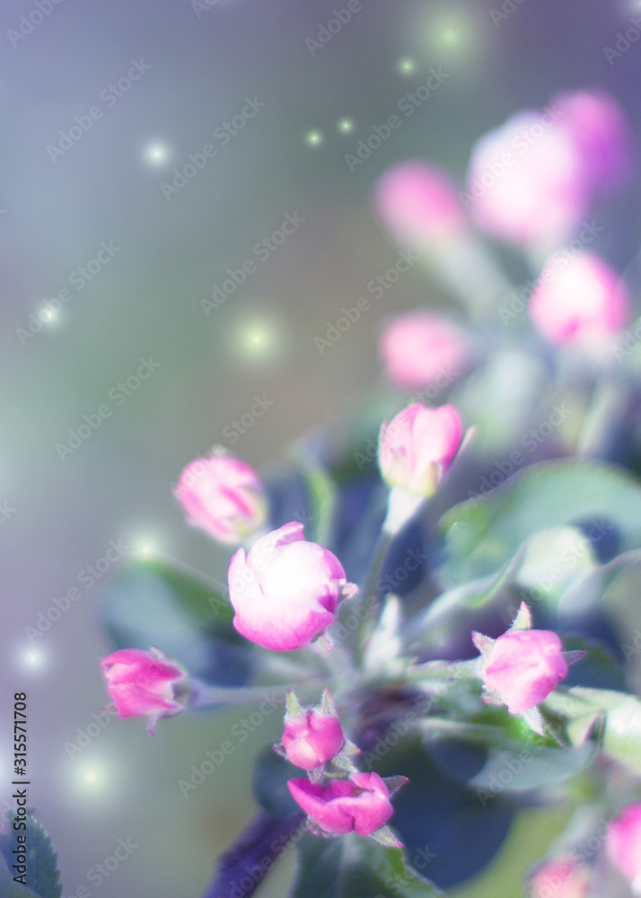 Delicate floral background with copy space under the text. Blurred background with spring flowers, bokeh. First flowers branch close-up