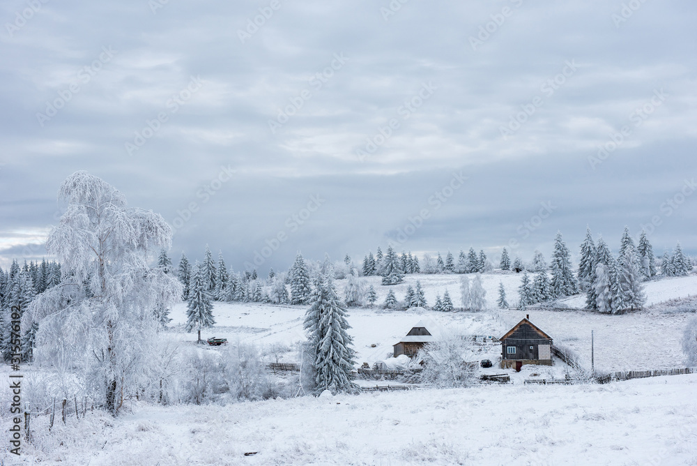 Obraz premium Winter woderland with chalet