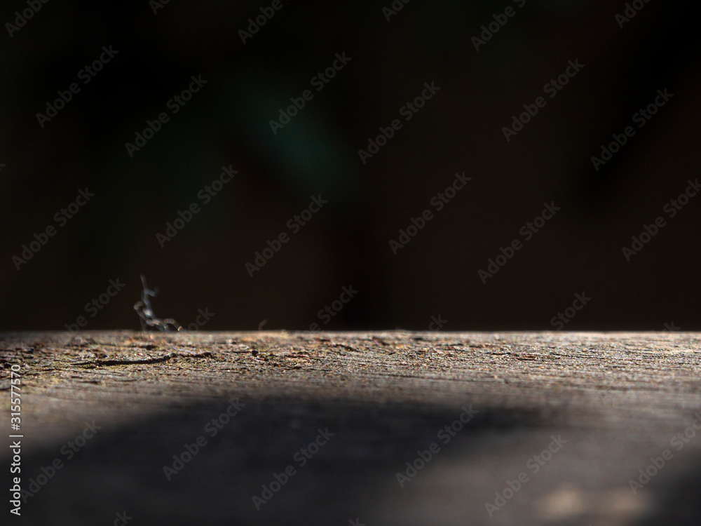 Fototapeta premium Shining on the wooden floor