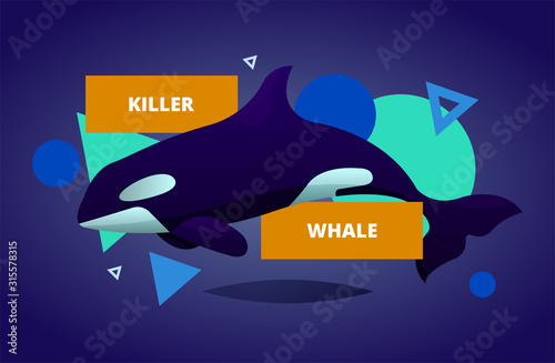 Modern and trendy vector illustration with killer whale surrounded by abstract elements on background. Siutable for poster, banner, cards, print.