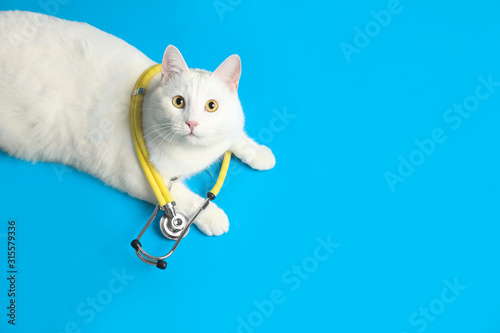 Cute cat with stethoscope as veterinarian on light blue background  above view. Space for text
