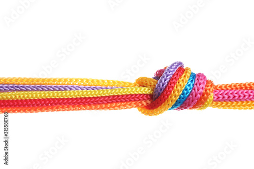 Colorful ropes tied together with knot isolated on white. Unity concept