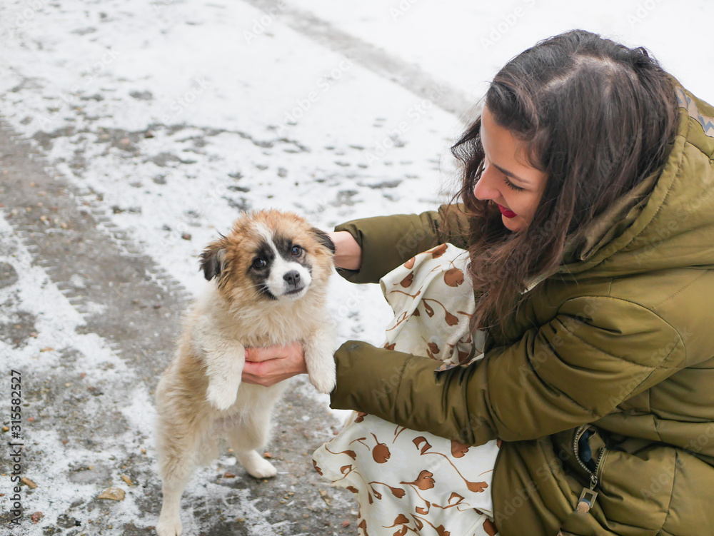 Girl stroking a puppy on the street. winter and pets. Teenager girl hug puppy shepherd dog close up photo. Girl stroking a puppy on the street. winter and pets. Teenager girl hug puppy shepherd dog close up photo.