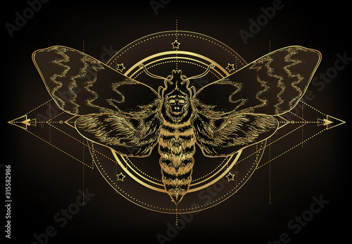 Fotografiet Golden moth over sacred geometry sign, isolated vector illustration