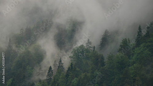 Nebel in den Bergen © Juergen