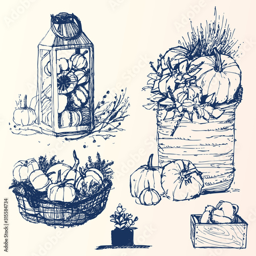 Autumn Sketch Pumpkin Vector Set