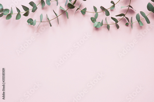 Border frame made eucalyptus branches on pink background.Floral background