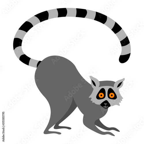 Cute lemur crouching to the ground. Cartoon Madagascar animal isolated on white background. Flat vector illustration.