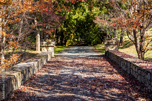 Entrance with road during red maple autumn in rural countryside in northern Virginia estate with trees lining path street and fallen foliage leaves photo