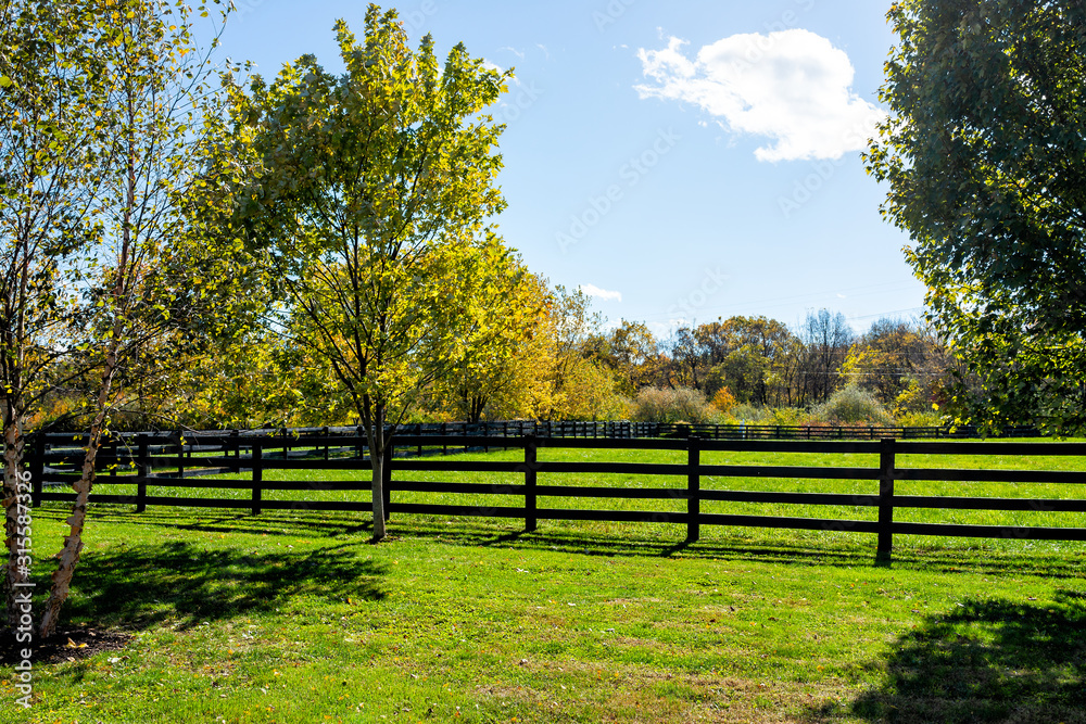 Fence for horses pasture on farm estate grounds in Virginia countryside in Frederick county during autumn fall season with green grass landscape