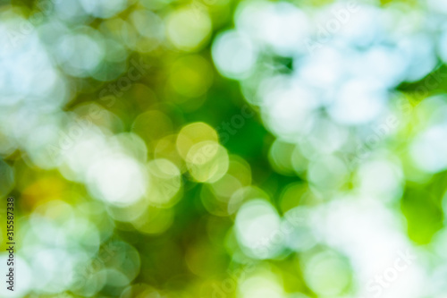 Abstract and defocused bokeh background. Ecological concept