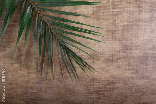 Palm Sunday. Palm brunch on wooden background. Easter