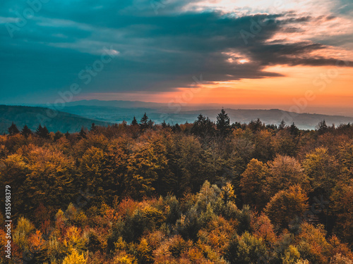 Herbstlicher Schwarzwald