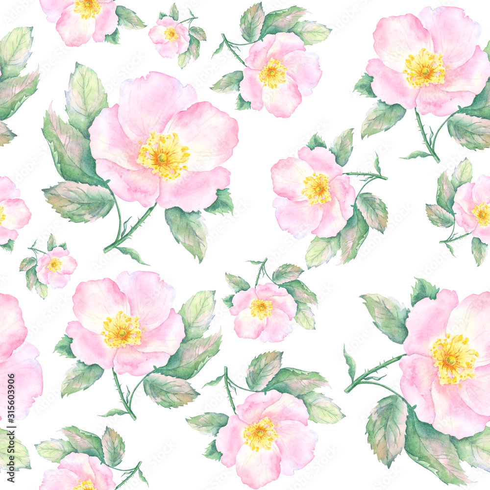 Obraz Kwiatowy wzór z kwiatów róży i liści. Ręcznie rysowane tła. Wiosenny wzór kwiatowy na tapetę lub tkaninę.