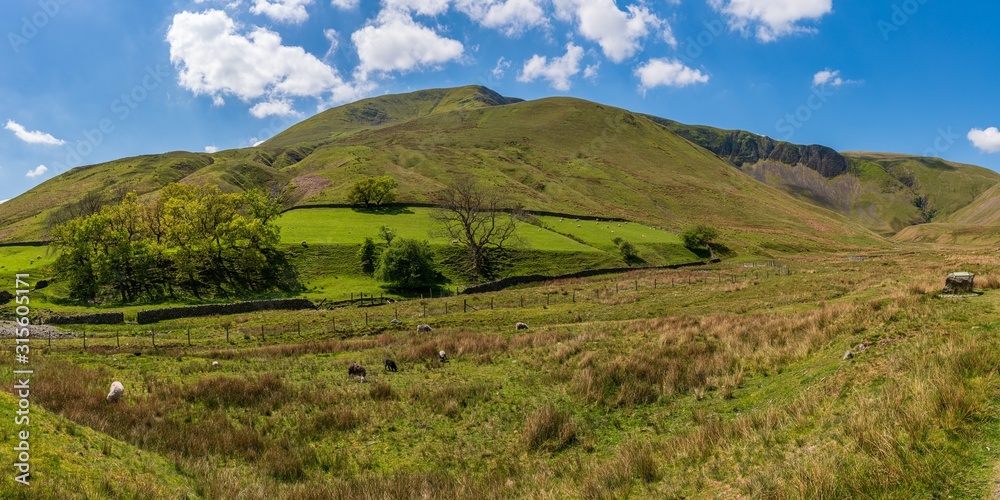 The Howgill Fells in the Yorkshire Dales near Low Haygarth, Cumbria, England, UK