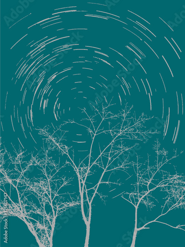Star trails from the branches.