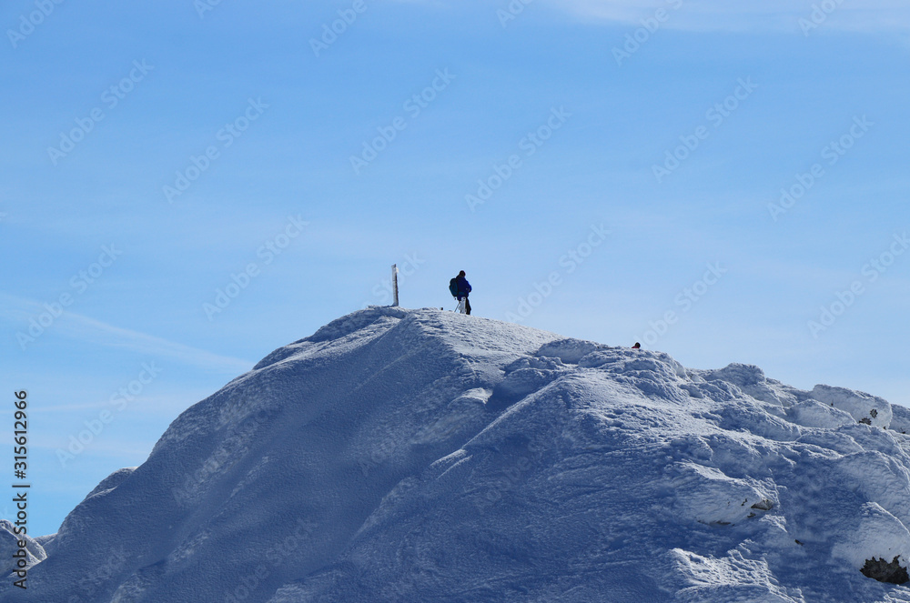 Lone wolf on the peak of Chopok in Low Tatras in Slovakia, Europe. Snowy hill and man with rucksak stands and enjoy views to the valley and paradise blue sky. Concept of wildness and freedom