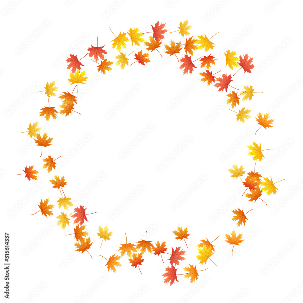 Maple leaves vector background, autumn foliage on white graphic design.