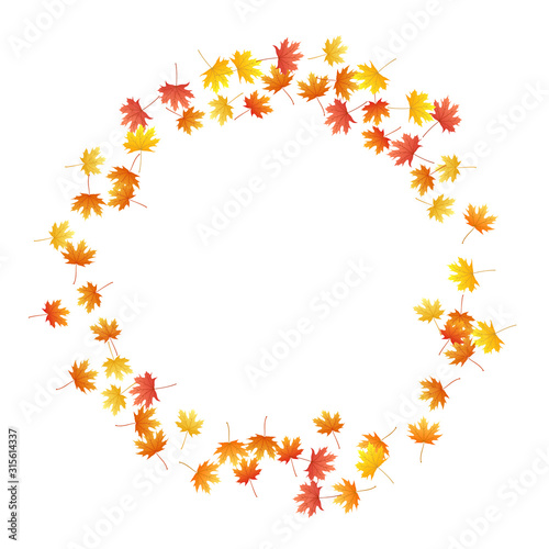 Maple leaves vector background, autumn foliage on white graphic design. © SunwArt