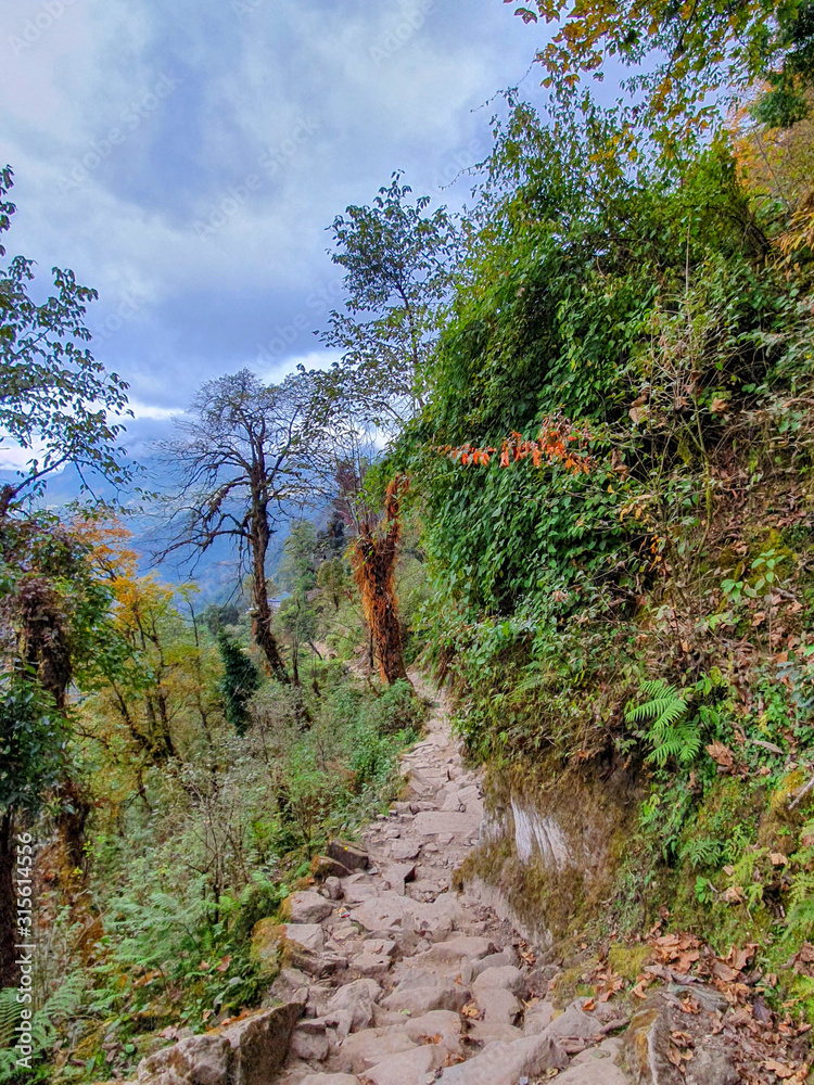 Everest base camp trek itinerary: Bupsa to Phakding, Way dowwn from Chutok La pass on th stone pass in the forest. Solokhumbu area, Nepal. Everest base camp trek itinerary: Bupsa to Phakding, Way dowwn from Chutok La pass on th stone pass in the forest. Solokhumbu area, Nepal.