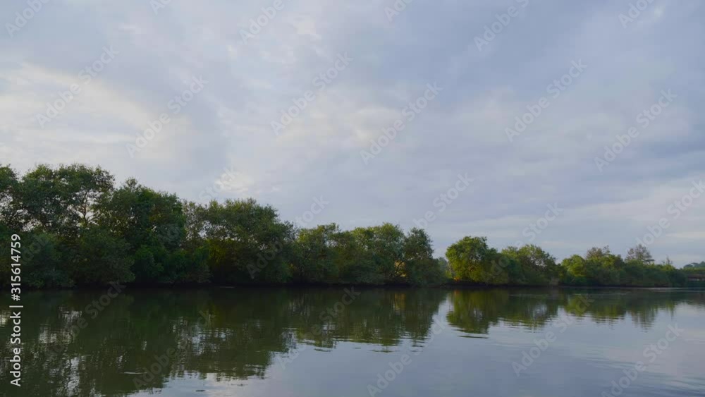 View of an island full of trees, while travelling in a boat slowly, India View of an island full of trees, while travelling in a boat slowly, India