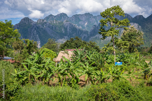 Fototapeta Naklejka Na Ścianę i Meble -  Village and mountain in Vang Vieng, Laos Southeast Asia.