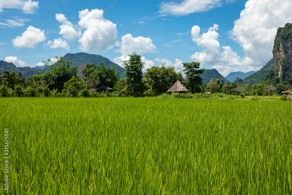 Green rice fields and mountains, Vang Vieng, Laos, Southeast Asia.