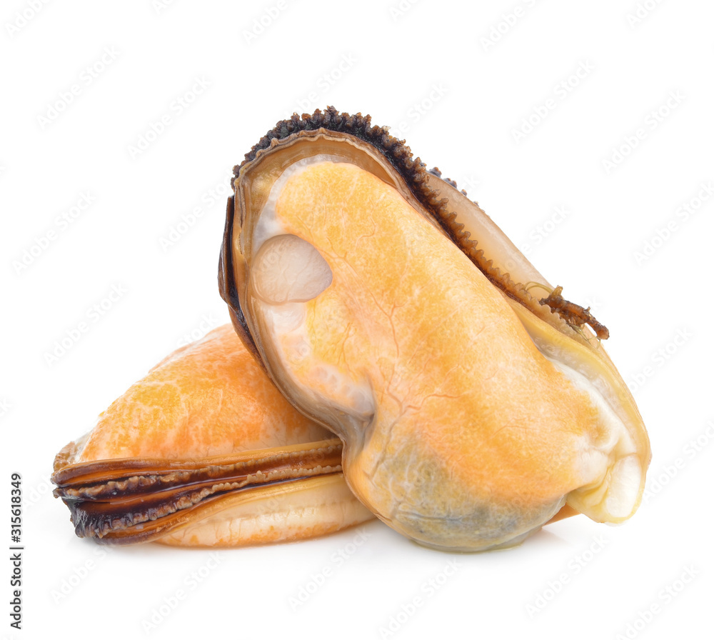 green mussel on white background