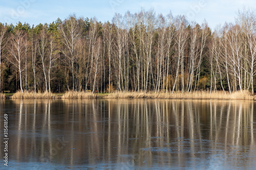 Fototapeta Naklejka Na Ścianę i Meble -  Frozen winter lake and forest in Poland.