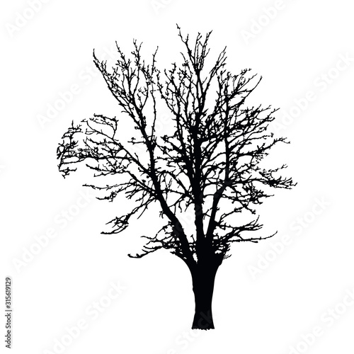 Realistic tree silhouette isolated on white background. Black large dried tree with bare branches without leaves. Winter scenery tree. Outline icon for nature apps and websites. Stock vector. EPS 10